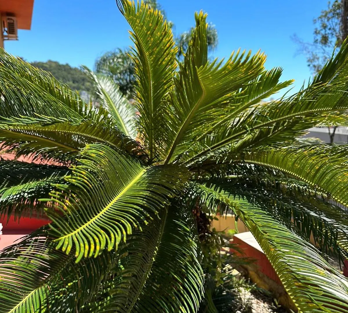 Residencial Vista Bela Apartment Bombinhas Brazil